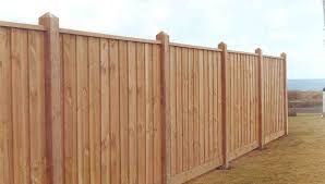 FENCE PALINGS (10)